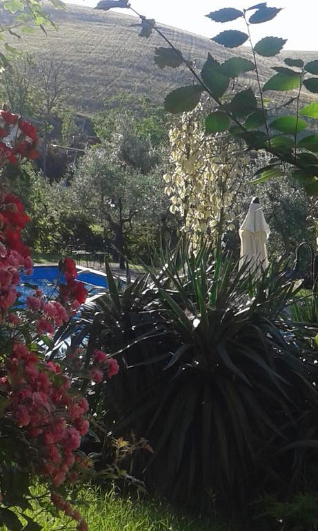 Вилла Agriturismo La Solagna Montebello di Bertona Экстерьер фото