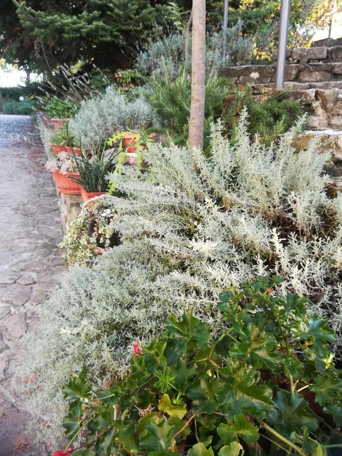 Вилла Agriturismo La Solagna Montebello di Bertona Экстерьер фото